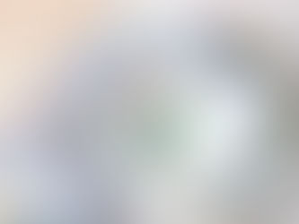 Auditing Happine$$. I know it would be so handy to look at a fixed, and accurate budget to make your