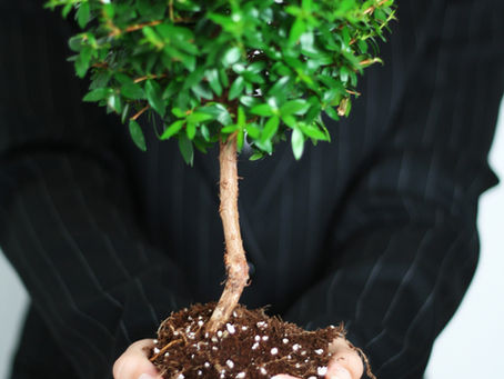 It's never the GPS, it's the signal. In my years as a creativity facilitator, I've basic